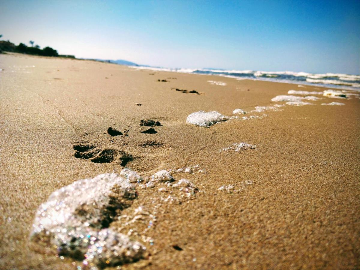 Hello Oliva Beach Ana Kültér fotó